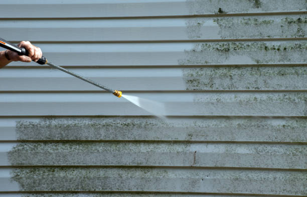 Best Gutter Cleaning  in Frostburg, MD